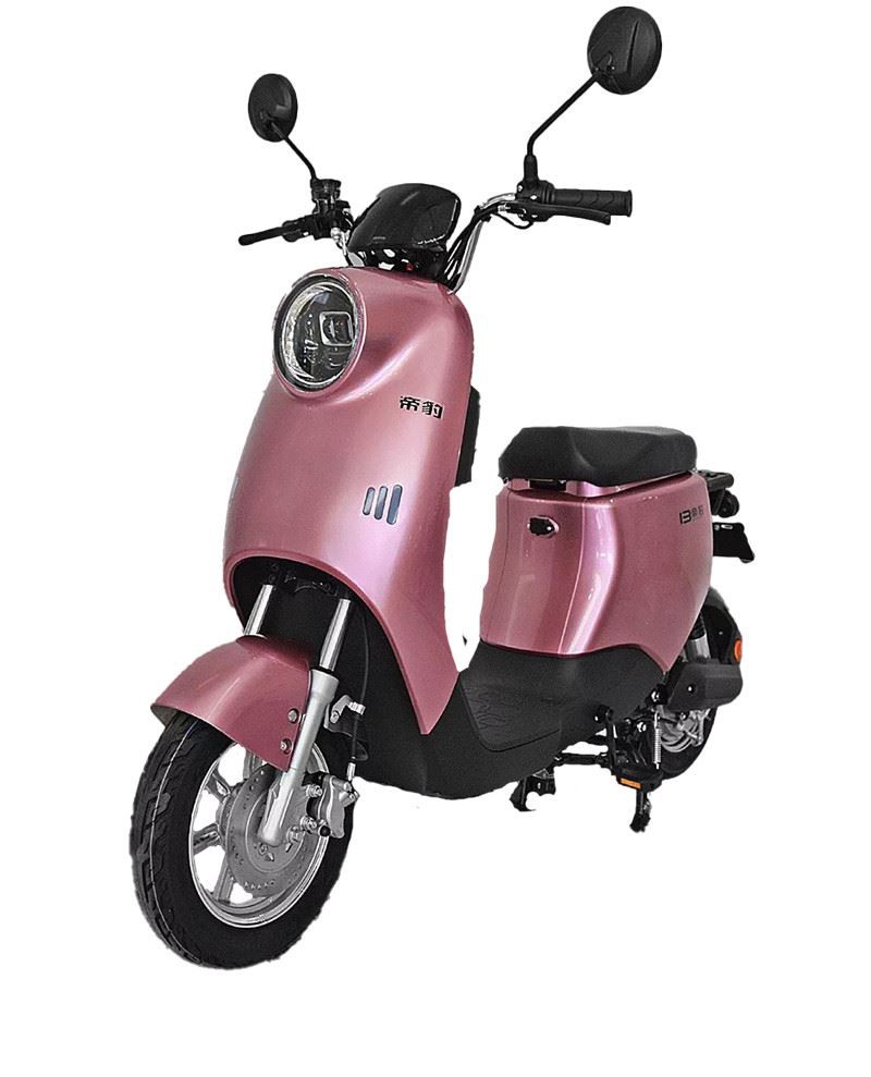 the 48V lithium battery E-scooter